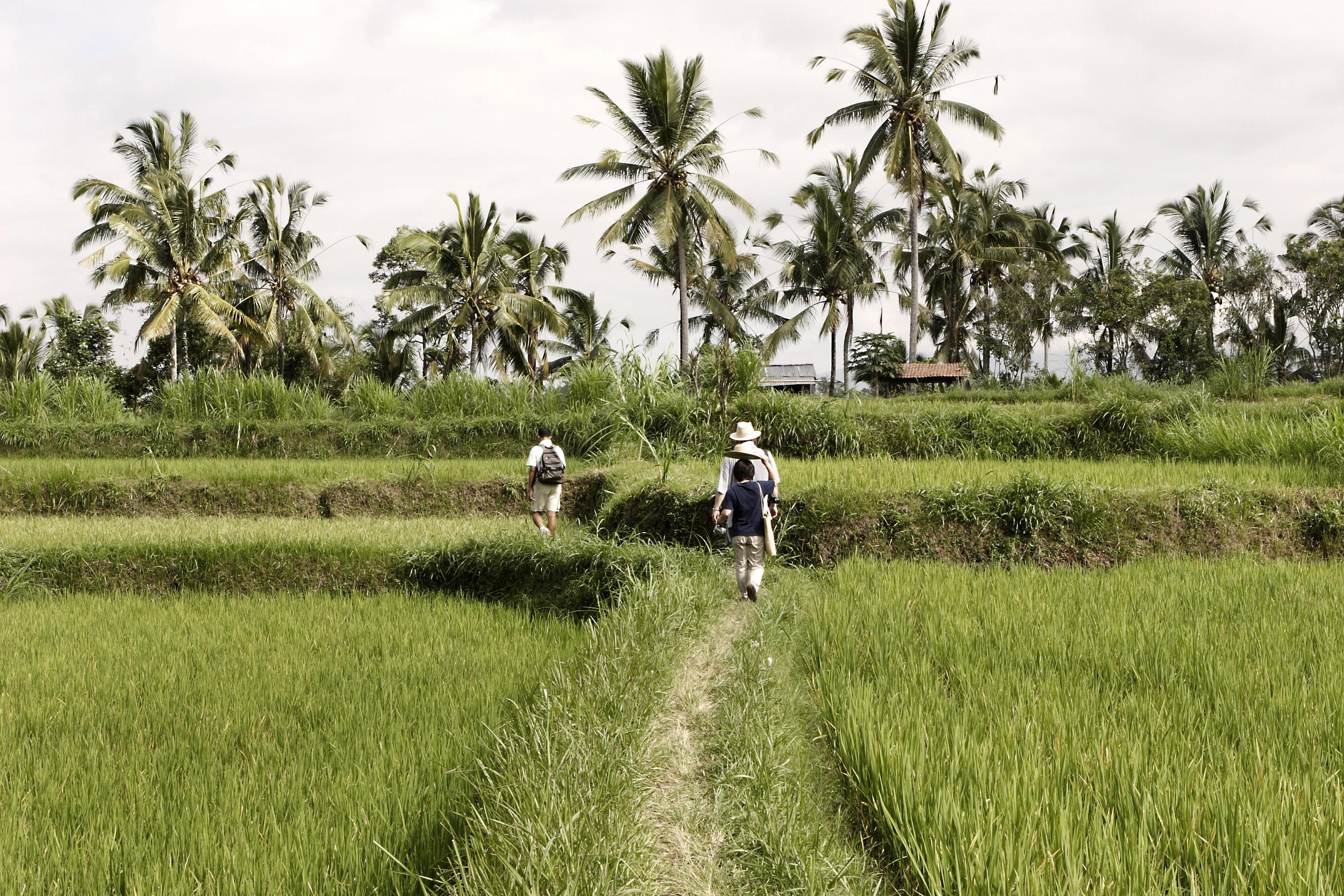 Hanging Gardens Of Bali Ubud Buitenkant foto